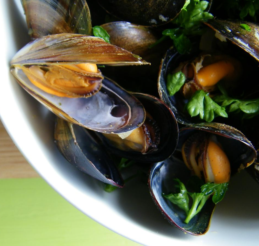 DRUNKEN MUSSELS Aquaculture Association of Nova Scotia